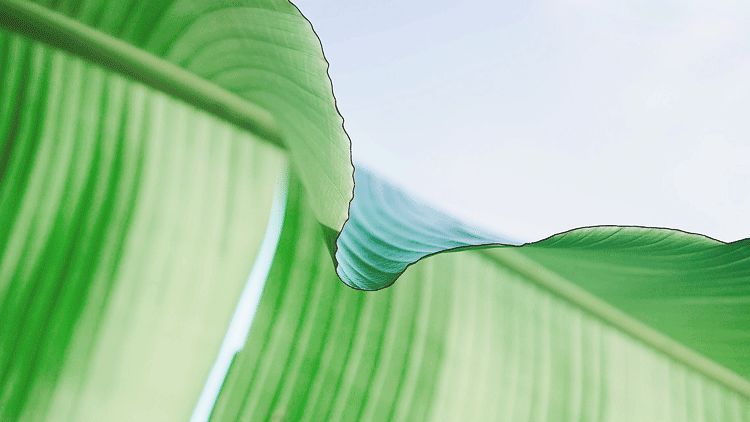 1588644877477006.jpg 微信圖片_20200505101016.jpg